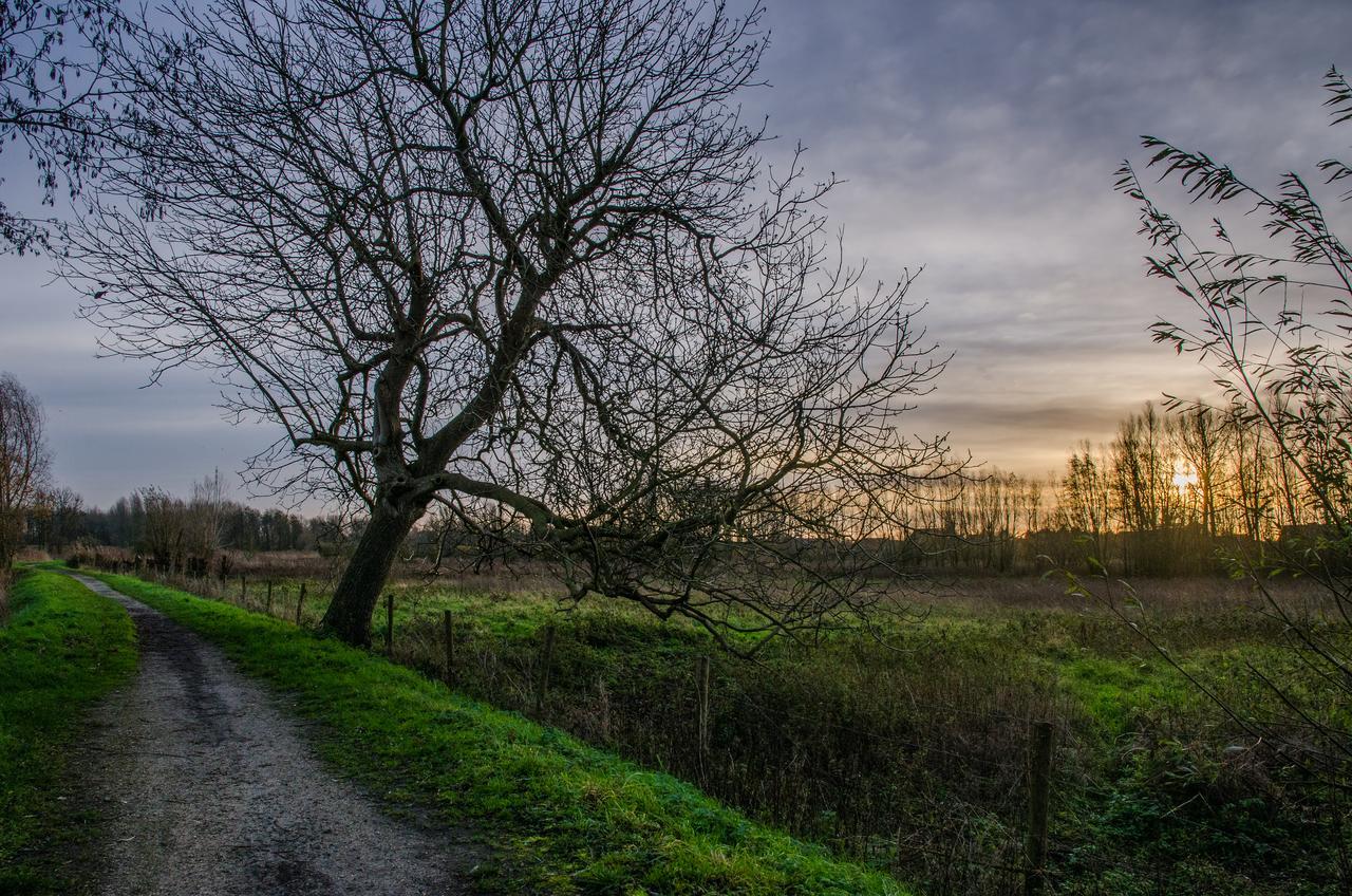 De Koolputten Waasmunster Dış mekan fotoğraf